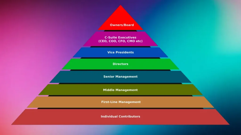 Decoding Corporate Hierarchy: From C-Suite to Entry-Level Corporate hierarchy from c suite to individual contributors 1