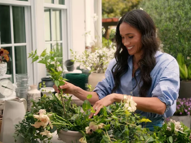 Best Newly Released OTT Movies to Watch this Weekend meghanmovie