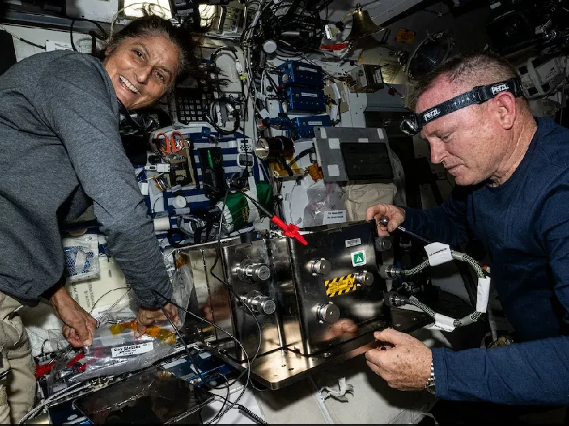 Sunita Williams Survival in Space: Challenges and Resilience sunita and butch